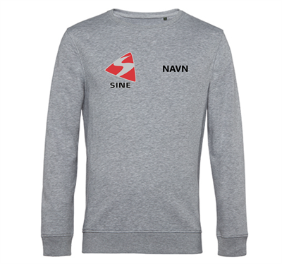 Sine Års sweatshirt Grå