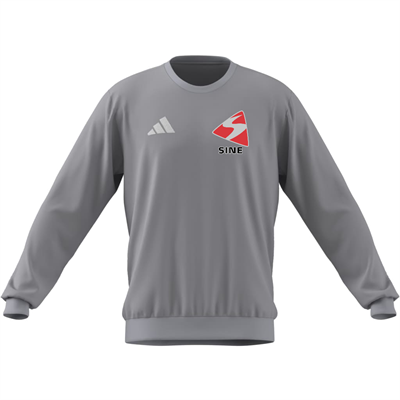 Ent26 Sweatshirt Grå